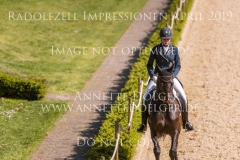 Impressionen Radolfzell April 2019