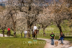 Impressionen Radolfzell April 2019