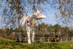 Impressionen Radolfzell April 2019