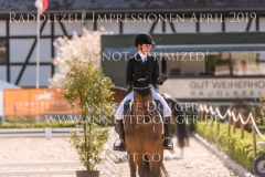 Impressionen Radolfzell April 2019