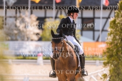 Impressionen Radolfzell April 2019