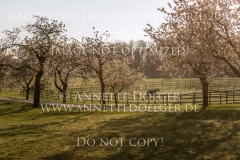 Radolfzell April 2019