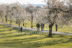 Impressionen Radolfzell April 2019