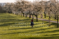 Radolfzell April 2019