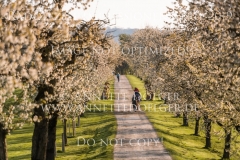 Radolfzell April 2019