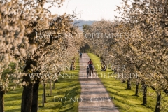 Radolfzell April 2019