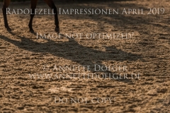 Radolfzell April 2019