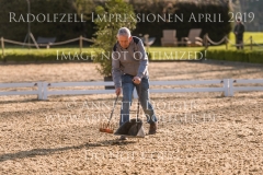 Radolfzell April 2019