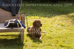 Radolfzell April 2019