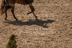 Radolfzell April 2019