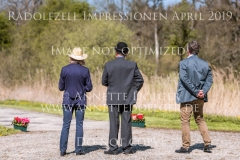 Radolfzell April 2019