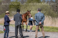 Impressionen Radolfzell April 2019