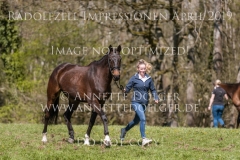 Impressionen Radolfzell April 2019