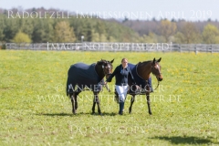 Impressionen Radolfzell April 2019