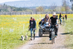 Impressionen Radolfzell April 2019