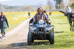 Impressionen Radolfzell April 2019