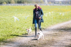 Impressionen Radolfzell April 2019