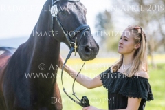 Impressionen Radolfzell April 2019