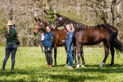 Impressionen Radolfzell April 2019