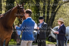 Impressionen Radolfzell April 2019