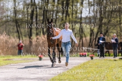 Impressionen Radolfzell April 2019