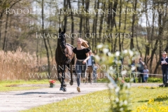 Impressionen Radolfzell April 2019