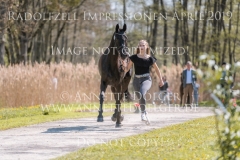 Impressionen Radolfzell April 2019