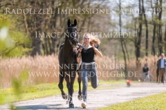 Impressionen Radolfzell April 2019