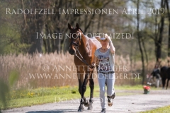 Impressionen Radolfzell April 2019