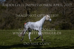 Impressionen Radolfzell April 2019