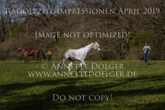 Impressionen Radolfzell April 2019