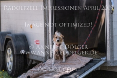 Impressionen Radolfzell April 2019