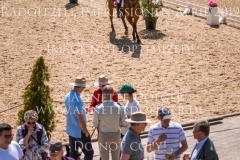 Impressionen Radolfzell April 2019