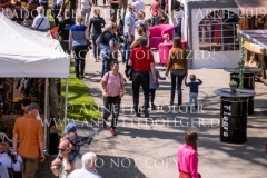 Impressionen Radolfzell April 2019