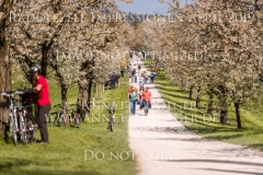 Impressionen Radolfzell April 2019