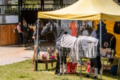 Impressionen Radolfzell April 2019