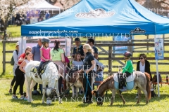 Impressionen Radolfzell April 2019