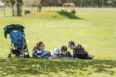 Impressionen Radolfzell April 2019