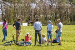 Impressionen Radolfzell April 2019