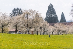 Impressionen Radolfzell April 2019