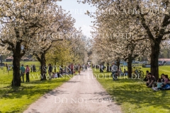 Impressionen Radolfzell April 2019