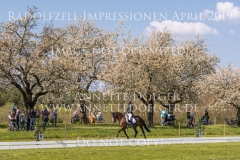 Impressionen Radolfzell April 2019