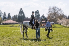 Impressionen Radolfzell April 2019