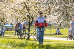 Impressionen Radolfzell April 2019