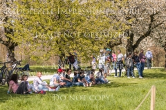 Impressionen Radolfzell April 2019