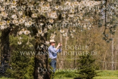 Impressionen Radolfzell April 2019