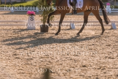 Impressionen Radolfzell April 2019