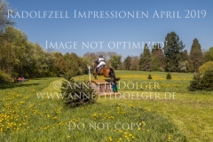 Impressionen Radolfzell April 2019