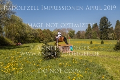 Impressionen Radolfzell April 2019