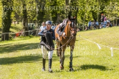 Impressionen Radolfzell April 2019